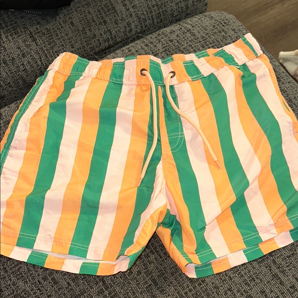 Green White and Orange Vertical Striped Swim Trunks with Elastic Waistband
